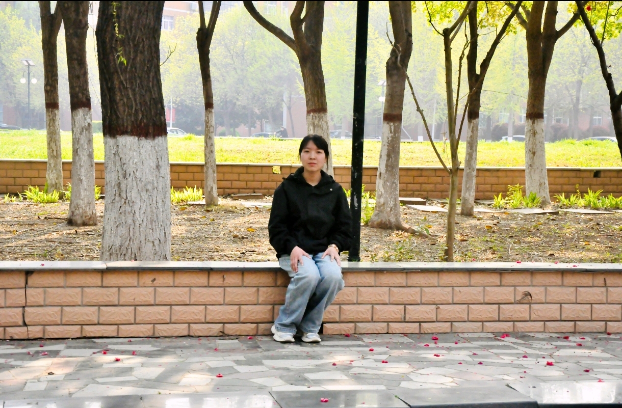 图示, 示意图

中度可信度描述已自动生成:ver1